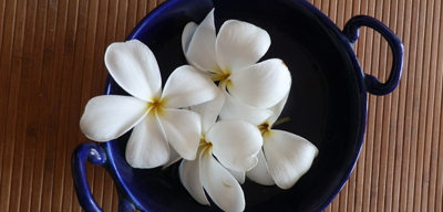 Temple Tree Flowers By Tarun Cherian